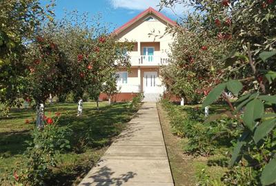 Casă cu 3 camere în Central - 7