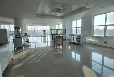 Splaiu Unirii teren 5000 mp Imobil S+P+5 Showroom, Clinica , Birouri , Hotel - 14