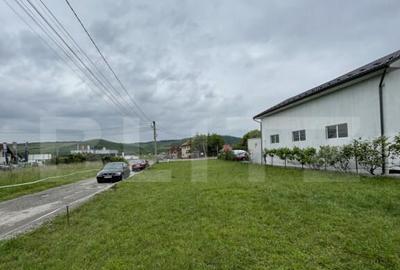 Teren de 1100 mp, în Viișoara - 3