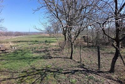 Casă cu Teren 41 Mp în Măeriște - 2