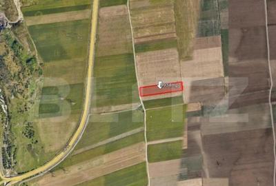 Teren de vanzare 9.934 mp, Centura Brasovului - 2