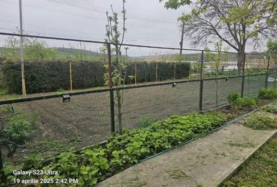 Casă cu 3 camere cu Teren 3300 Mp în Gogoșari - 4