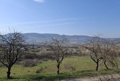 Teren de 14500 mp, în Exterior Vest - 6