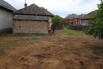 Casă cu 2 camere în Basarabi - 3
