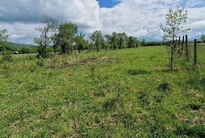 Teren de 3400 mp, în Rusu Bârgăului - 3