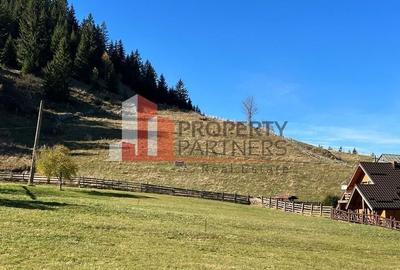 Teren Fundatica intravilan 4500 mp - 14