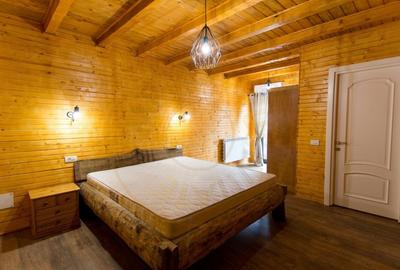 0% Comision! Pensiune sau afacere la cheie in Loc. Nucsoara, jud. Arges. - 7