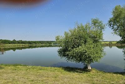 Teren de 9400 mp, în Gruiu - 2