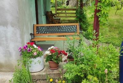 Teren extravilan de 4450 mp, în Aurel Vlaicu - 1