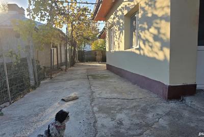 Vand casa 4 camere - 8