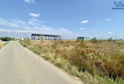Teren Construcții intravilan de 6090 mp, în Albota