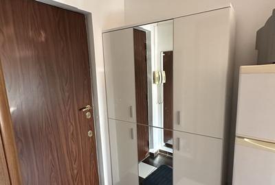 Apartament cu 2 camere decomandat, mobilat în Drumul Taberei - 4