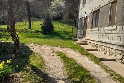 Casă cu 6 camere cu Teren 2559 Mp în Peștișani - 16