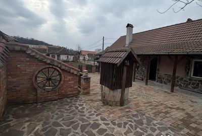 Casă cu 2 camere în Saschiz - 3