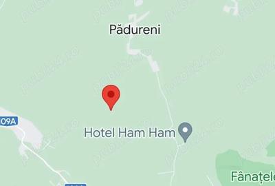 Teren în Pădureni (Chinteni) - 4
