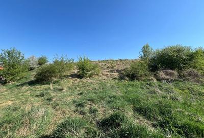 Teren intravilan de 3800 mp, zona Chinteni - 3