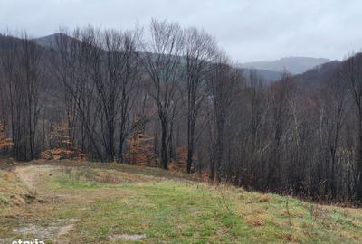 Spațiu comercial, în Poiana Mărului