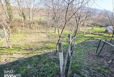 Casă cu 5 camere cu Teren 900 Mp în Târnova - 6