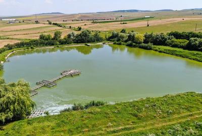 Teren agricol intravilan de 31500 mp, în Negrești (Bâra) - 8