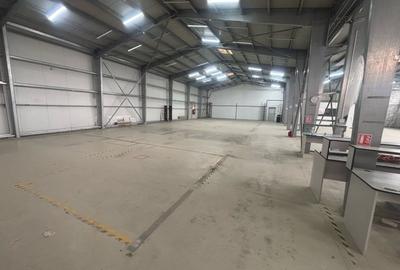 De Inchiriat! Hala depozit si birouri - 7