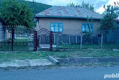 Vand Casa in Slava Rusa, 2000mp. - 5