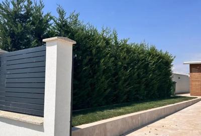 Casă cu 5 camere cu Teren 1120 Mp în Plaiul Vulcanești - 18