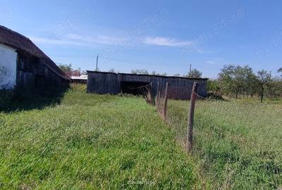 Casă cu 4 camere cu Teren 3000 Mp în Alioș - 11