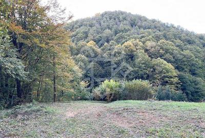 Teren pentru casa de vacanta pe Valea Bratcutei, Bihor - 2