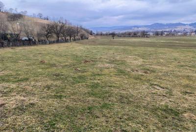 Spațiu comercial, în Brădet - 2