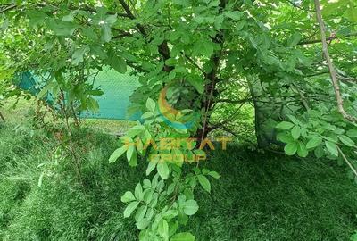 Apartament cu 3 camere în Ghencea - 9
