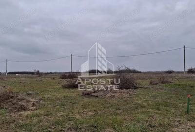 Teren intravilan 500mp Mandruloc - 5