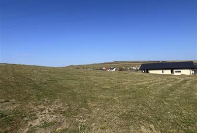 Teren intravilan de 2570 mp, în Săliștea Nouă - 5