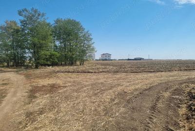 Teren de 407 mp, în Berceni - 2