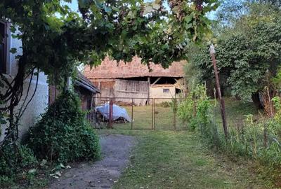 Casa de vanzare la tara - 3