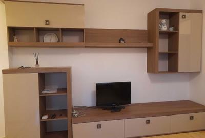 Apartament cu 2 camere decomandat în Tilișca - 3