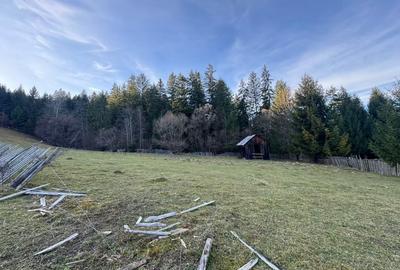 De vanzare 6850 mp pasune langa Manastirea Doroteia - Frasin /Plutonita - 4