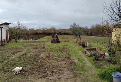 Casă cu 3 camere cu Teren 1500 Mp în Central - 2