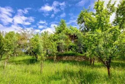 Casă cu 4 camere cu Teren 4873 Mp în Moldovenești - 2