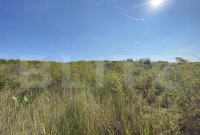 Teren intravilan/extravilan centura Zalau, 8200 mp - 3