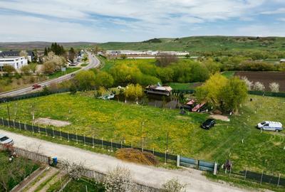 Teren Construcții intravilan de 6000 mp, în Ilișești - 29