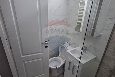 Spatiu comercial renovat - 5