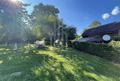 Teren deosebit cu cabană din lemn, Tocile – locație liniștită - 4