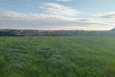 Casă cu 3 camere în Rontău - 3