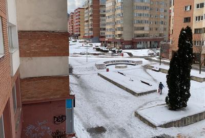 Apartament cu 2 camere decomandat, mobilat în Valea Cetății - 12