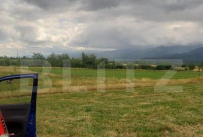 Teren de 8600 mp, în Cârțișoara - 2