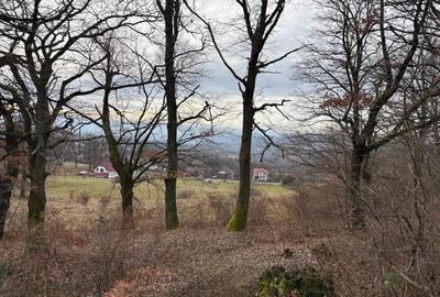 Teren în Șișești - 4