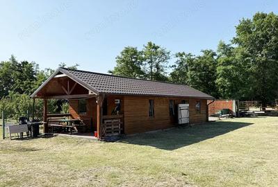 Spațiu comercial, de 500 mp, în Șimian - 9