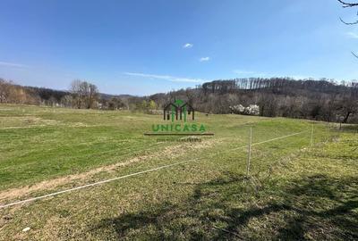 Teren Govora / 8131mp - 6