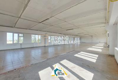 Birou, de 460 mp, în Sânnicolau Mic - 12