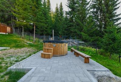 Pensiune de lux, 8 dormitoare D+P+M+P, teren 2200 mp, Statiunea Muntele Baisorii - 8